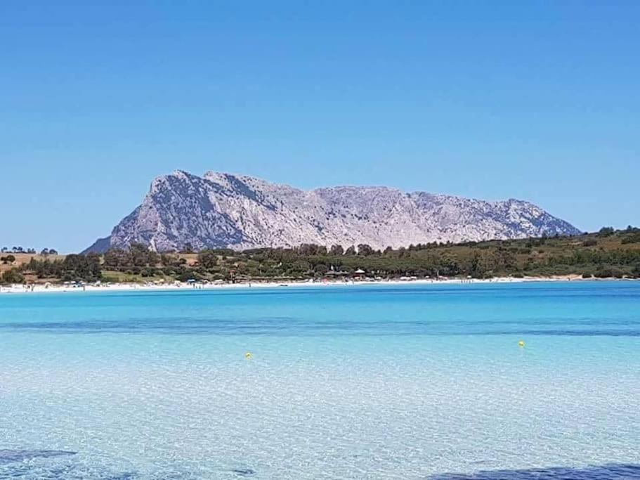 Amazing House 10 Min By Car From The Beach Olbia Dış mekan fotoğraf