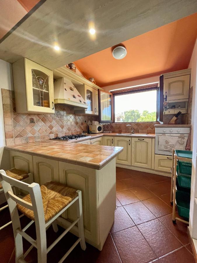 Amazing House 10 Min By Car From The Beach Olbia Dış mekan fotoğraf